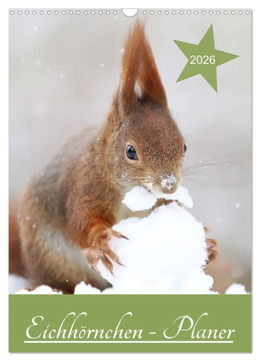 Cover: 9783516414714 | Eichhörnchen - Planer (Wandkalender 2026 DIN A3 hoch), CALVENDO...